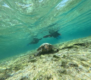 宮古島 ADVENTURE PiPi（ミヤコジマ アドベンチャー ピピ）に投稿された画像（2024/3/20）