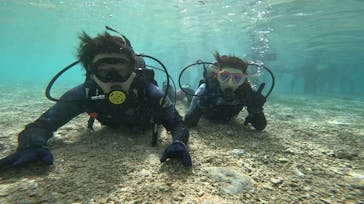 沖縄マリンサービス碧に投稿された画像（2024/3/20）