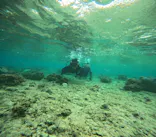 沖縄マリンサービス碧に投稿された画像（2024/3/20）