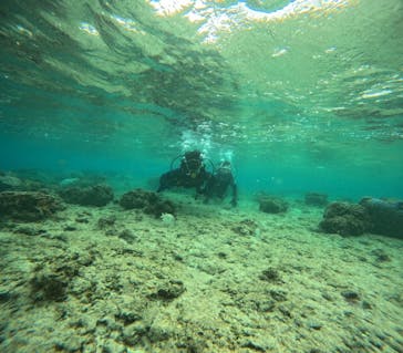 沖縄マリンサービス碧に投稿された画像（2024/3/20）