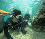 沖縄マリンサービス碧に投稿された画像（2024/3/20）