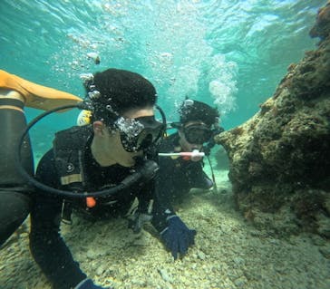 沖縄マリンサービス碧に投稿された画像（2024/3/20）