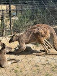 千葉市動物公園に投稿された画像（2024/3/20）
