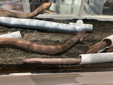 AOAO SAPPOROに投稿された画像（2024/3/20）