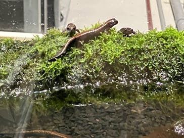 AOAO SAPPOROに投稿された画像（2024/3/20）