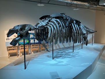 AOAO SAPPOROに投稿された画像（2024/3/20）