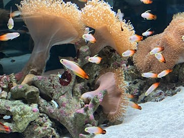 AOAO SAPPOROに投稿された画像（2024/3/20）