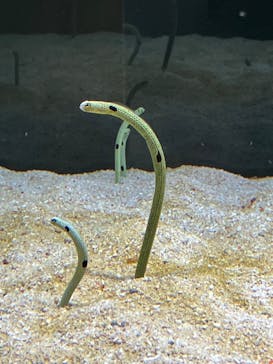 AOAO SAPPOROに投稿された画像（2024/3/20）