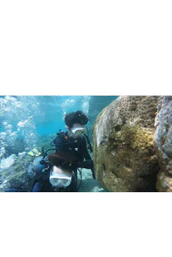 武藤潜水に投稿された画像（2024/3/20）