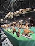 特別展「大哺乳類展３－わけてつなげて大行進」に投稿された画像（2024/3/20）