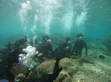 武藤潜水に投稿された画像（2024/3/20）