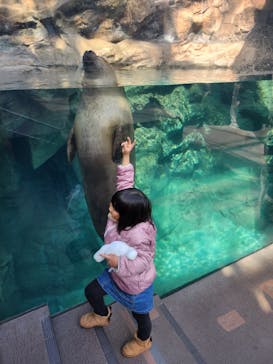 環境水族館アクアマリンふくしまに投稿された画像（2024/3/20）