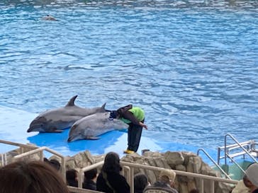 名古屋港水族館に投稿された画像（2024/3/20）