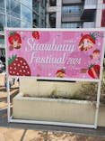 OSAKA Strawberry Festivalに投稿された画像（2024/3/20）