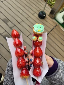 OSAKA Strawberry Festivalに投稿された画像（2024/3/20）