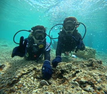 沖縄マリンサービス碧に投稿された画像（2024/3/20）