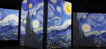 ゴッホ・アライブに投稿された画像（2024/3/20）