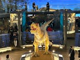 福井県立恐竜博物館に投稿された画像（2024/3/20）