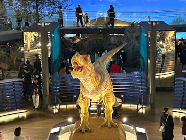 福井県立恐竜博物館に投稿された画像（2024/3/20）