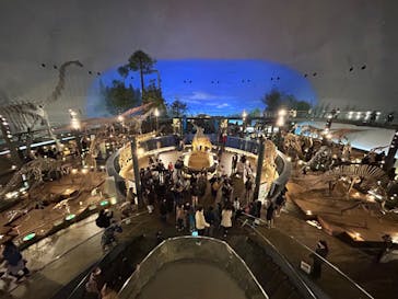 福井県立恐竜博物館に投稿された画像（2024/3/20）