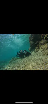 武藤潜水に投稿された画像（2024/3/20）