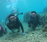 武藤潜水に投稿された画像（2024/3/20）