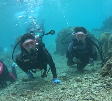 武藤潜水に投稿された画像（2024/3/20）