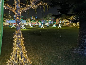 美らヤシパークオキナワ・東南植物楽園に投稿された画像（2024/3/20）