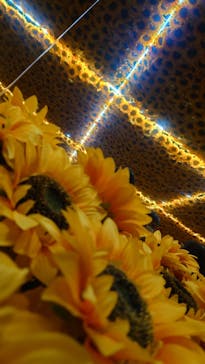 ゴッホ・アライブに投稿された画像（2024/3/20）