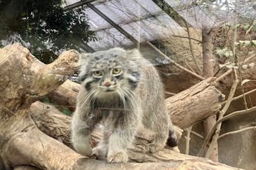 神戸どうぶつ王国に投稿された画像（2024/3/20）