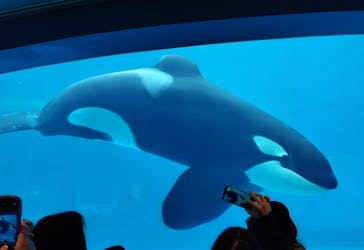 名古屋港水族館に投稿された画像（2024/3/20）