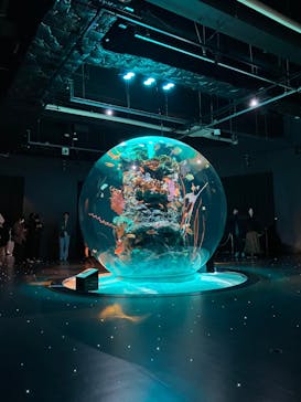 AQUARIUM × ART　atoaに投稿された画像（2024/3/20）