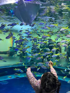 AQUARIUM × ART　atoaに投稿された画像（2024/3/20）