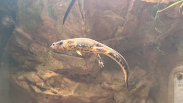 AQUARIUM × ART　atoaに投稿された画像（2024/3/20）