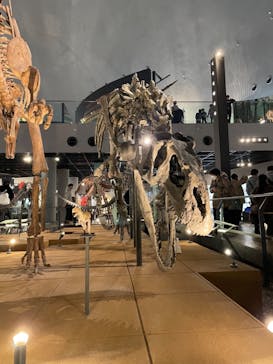 福井県立恐竜博物館に投稿された画像（2024/3/20）