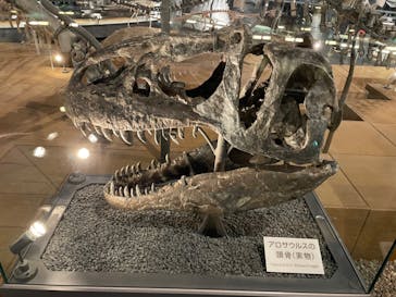 福井県立恐竜博物館に投稿された画像（2024/3/20）
