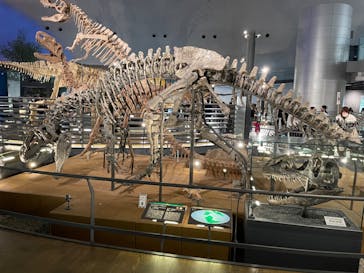 福井県立恐竜博物館に投稿された画像（2024/3/20）