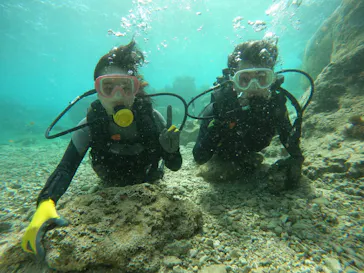 武藤潜水に投稿された画像（2024/3/20）