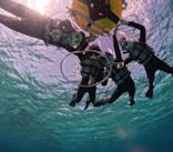 初心者専門宮古島シュノーケリングツアーに投稿された画像（2024/3/20）