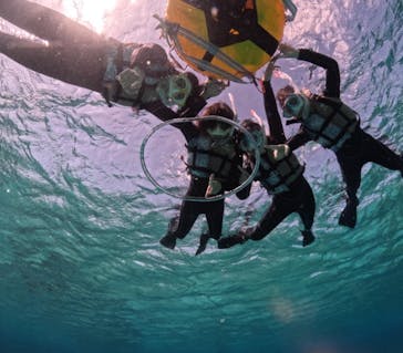 初心者専門宮古島シュノーケリングツアーに投稿された画像（2024/3/20）