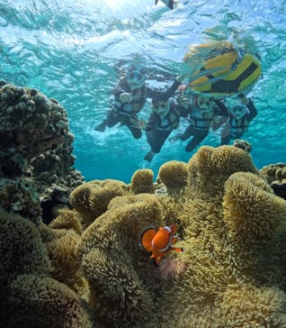 初心者専門宮古島シュノーケリングツアーに投稿された画像（2024/3/20）