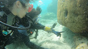 武藤潜水に投稿された画像（2024/3/20）