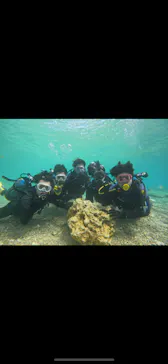 武藤潜水に投稿された画像（2024/3/20）