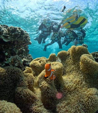 宮古島マリンショップSmileyに投稿された画像（2024/3/20）