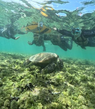 宮古島マリンショップSmileyに投稿された画像（2024/3/20）