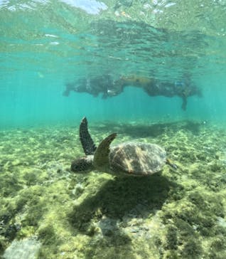 宮古島マリンショップSmileyに投稿された画像（2024/3/20）