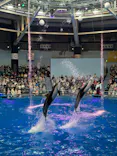 マクセル アクアパーク品川に投稿された画像（2024/3/20）