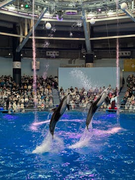 マクセル アクアパーク品川に投稿された画像（2024/3/20）