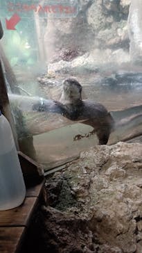 伊豆シャボテン動物公園に投稿された画像（2024/3/19）