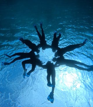 宮古島 ADVENTURE PiPi（ミヤコジマ アドベンチャー ピピ）に投稿された画像（2024/3/20）